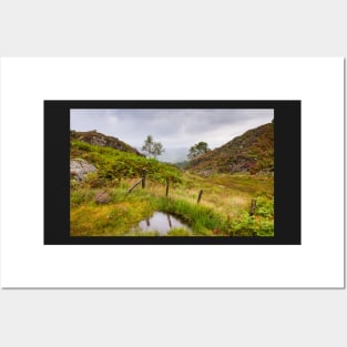 Raindrops on Holme Fell Posters and Art